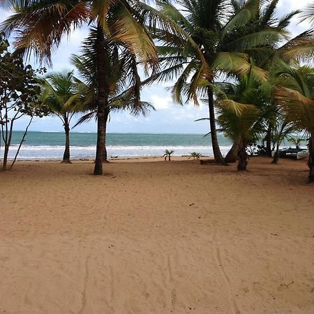 Beach Front Apartment Rio Mar Puerto Rico Río Grande Exterior foto